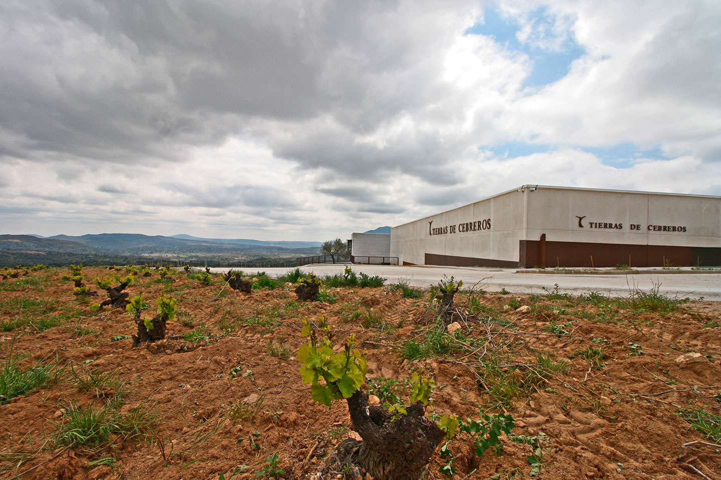 Hotel Bodega Tierras de Cebreros
